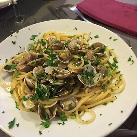 Hotel Estoril Riccione