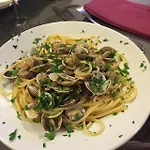 Hotel Estoril Riccione