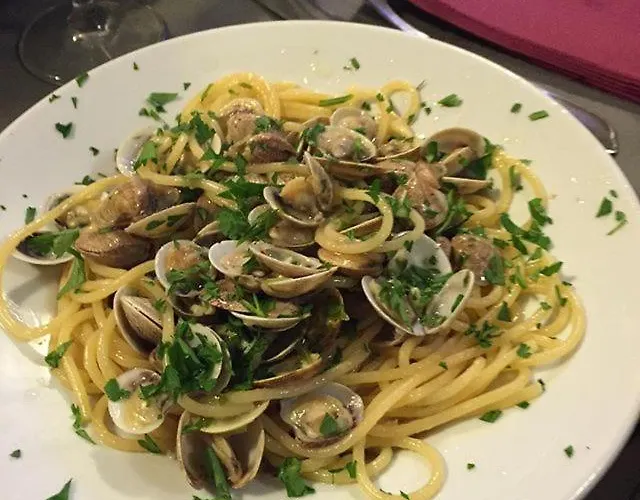 Hotel Estoril Riccione